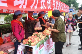 122cc太阳集成游戏(中国)有限公司官网